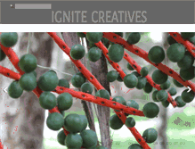 Tablet Screenshot of ignitecreatives.com